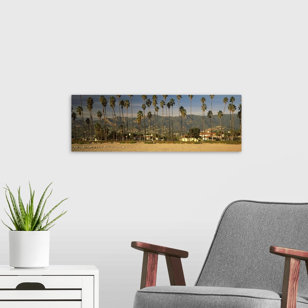 A modern room featuring Palm trees on the beach, Santa Barbara, California,