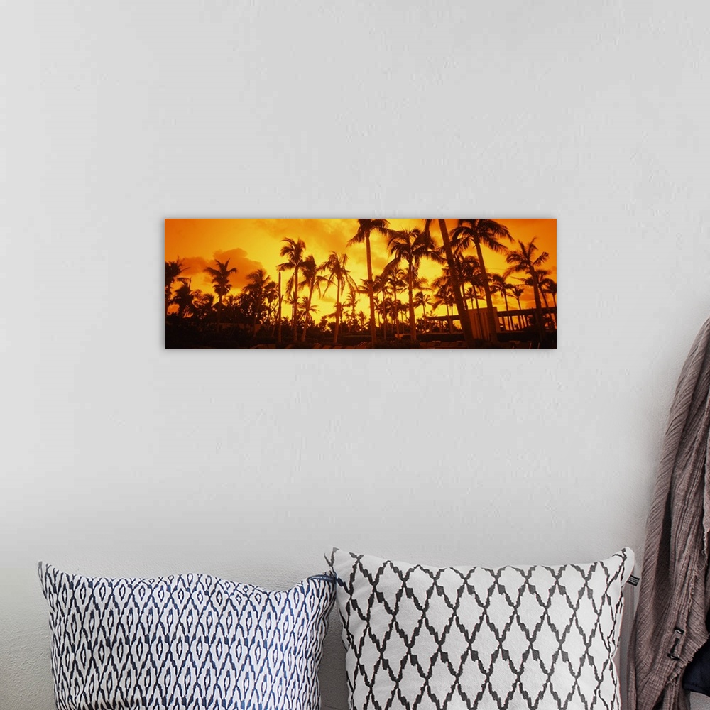 A bohemian room featuring Large horizontal photograph of many palm trees on  South Beach, near the Setai Hotel, beneath a b...