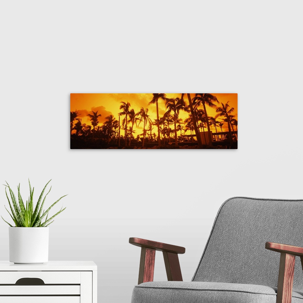 A modern room featuring Large horizontal photograph of many palm trees on  South Beach, near the Setai Hotel, beneath a b...