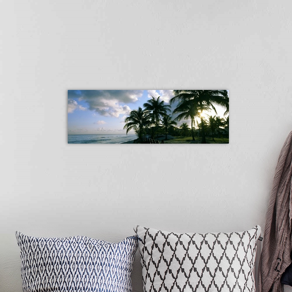 A bohemian room featuring Palm trees on the beach, Varadero beach, Varadero, Matanzas, Cuba