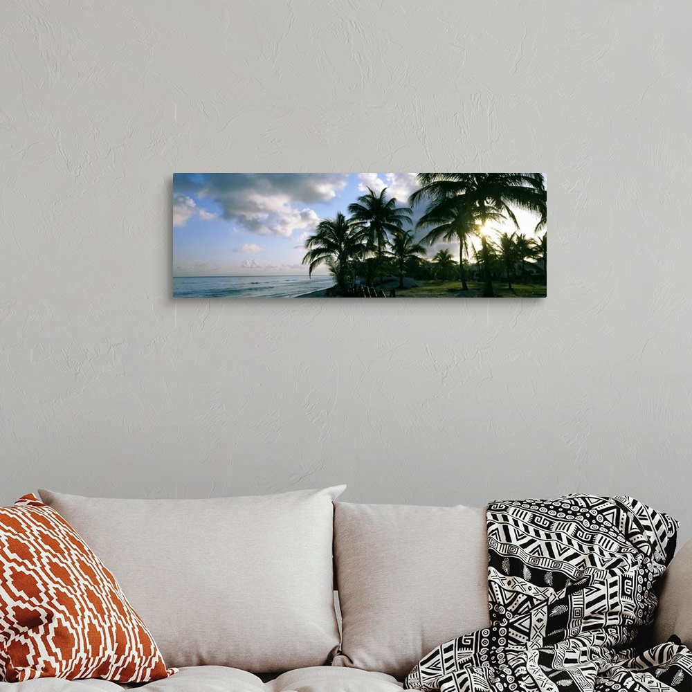 A bohemian room featuring Palm trees on the beach, Varadero beach, Varadero, Matanzas, Cuba