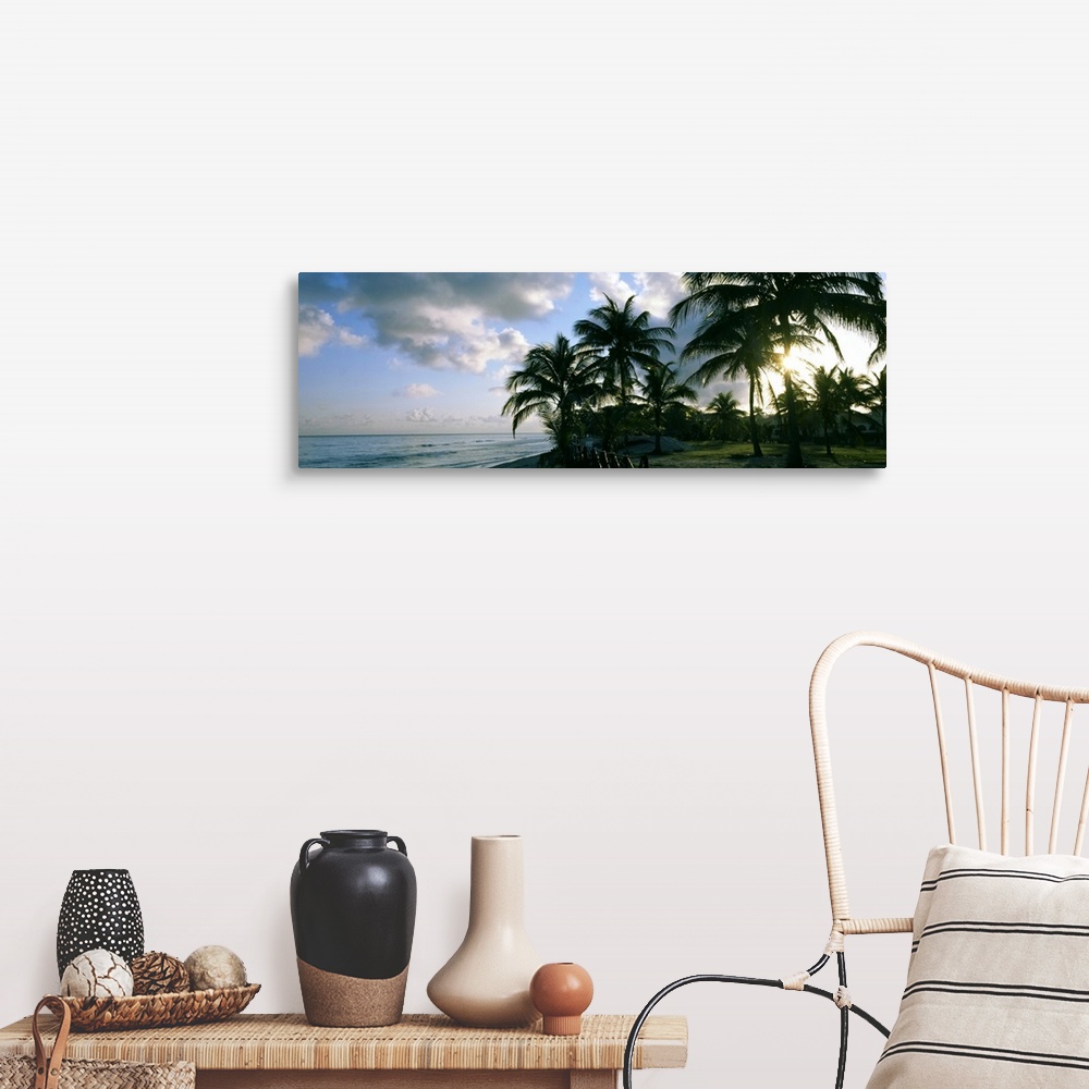 A farmhouse room featuring Palm trees on the beach, Varadero beach, Varadero, Matanzas, Cuba