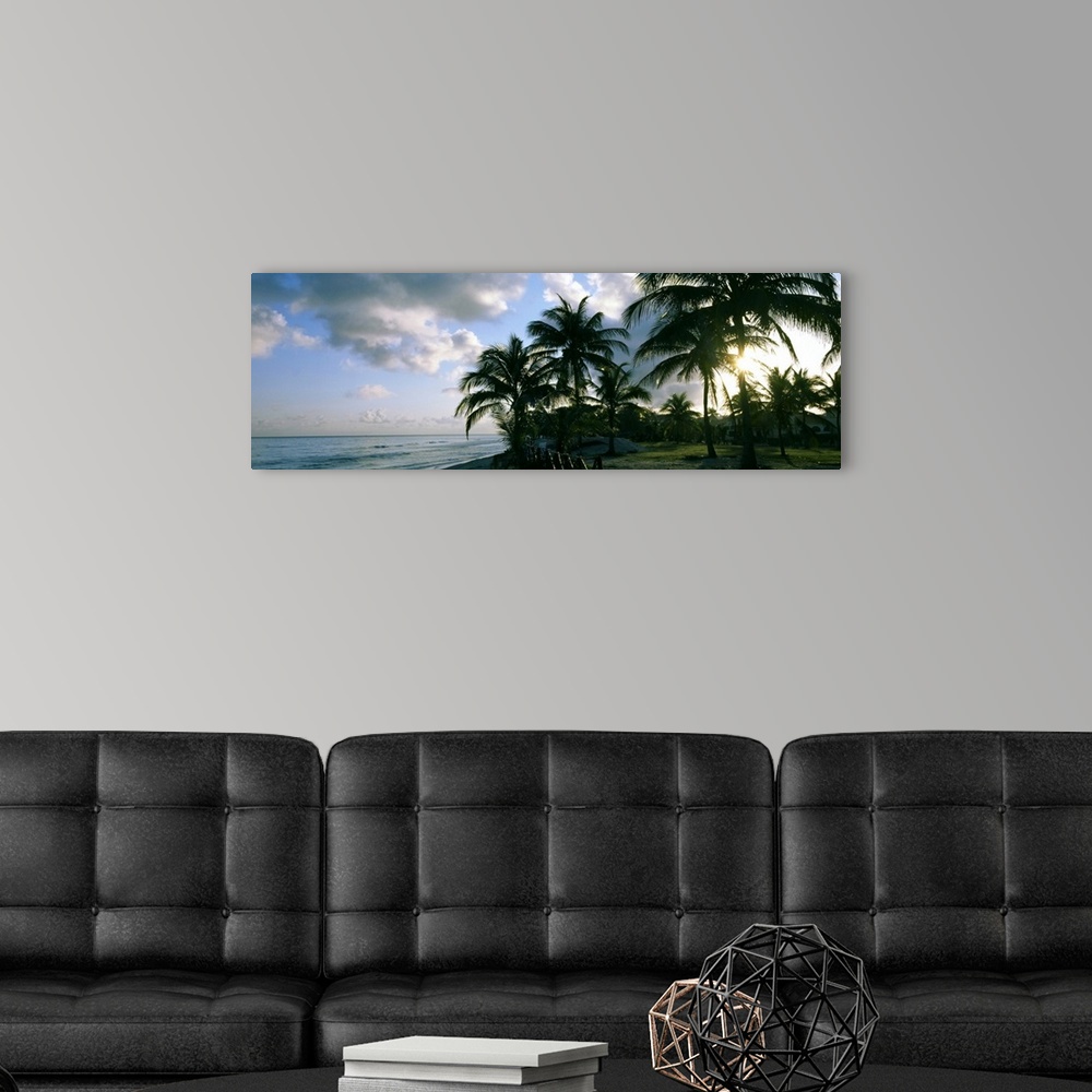 A modern room featuring Palm trees on the beach, Varadero beach, Varadero, Matanzas, Cuba