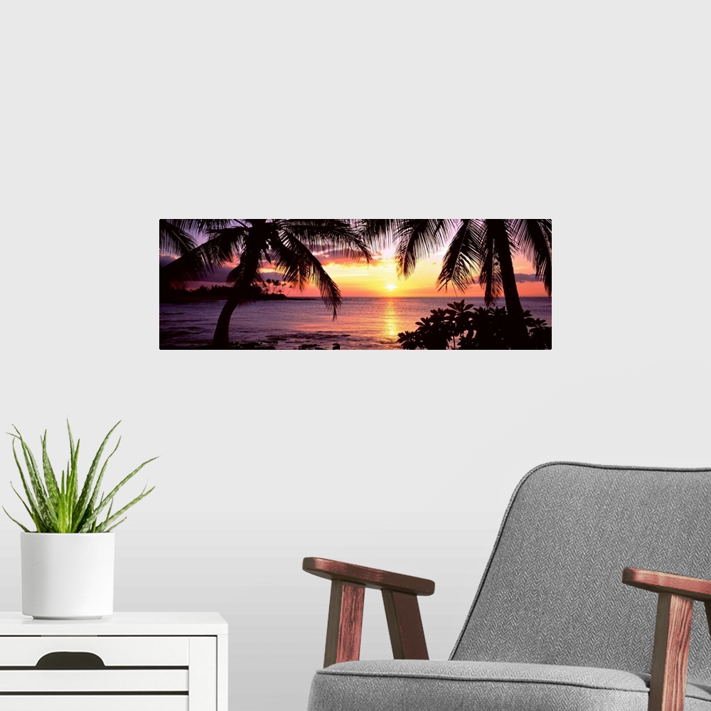 A modern room featuring Palm trees on the coast, Kohala Coast, Big Island, Hawaii