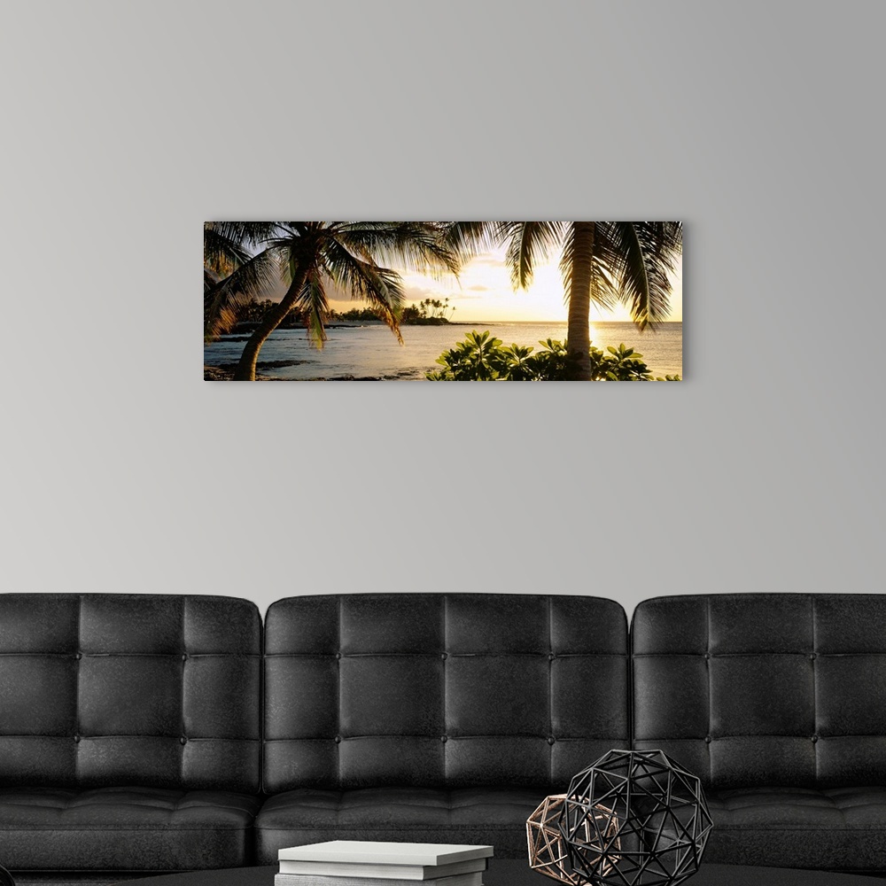 A modern room featuring Panoramic wall art photo for the office or home of the Hawaiian coast; palm trees frame the sun s...