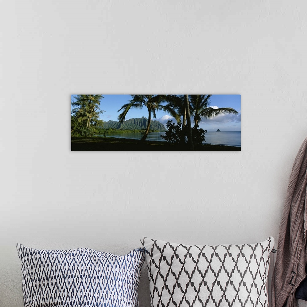 A bohemian room featuring Widen angle photograph on a giant wall hanging of palm trees swaying on the coastline of Kaneohe ...