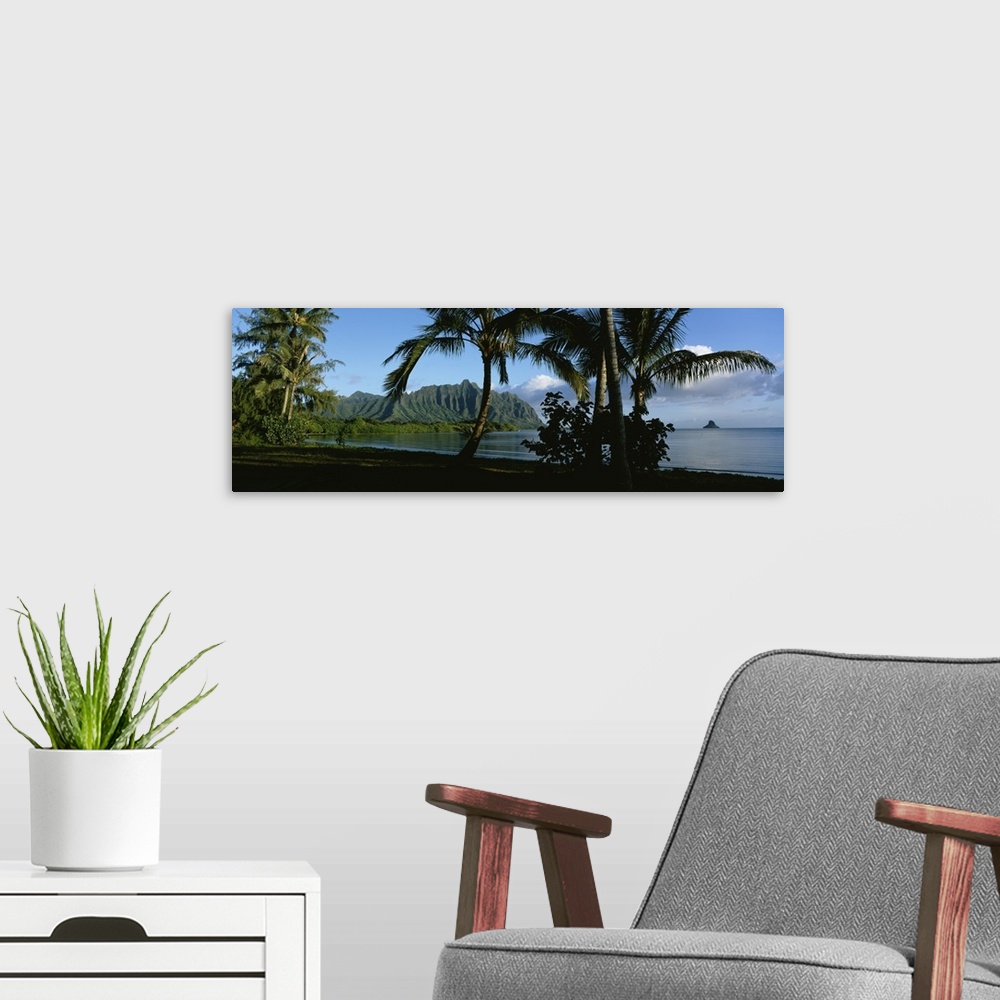A modern room featuring Widen angle photograph on a giant wall hanging of palm trees swaying on the coastline of Kaneohe ...