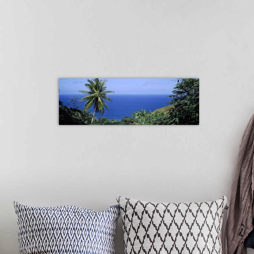 A bohemian room featuring Palm Trees Tobago Caribbean Sea