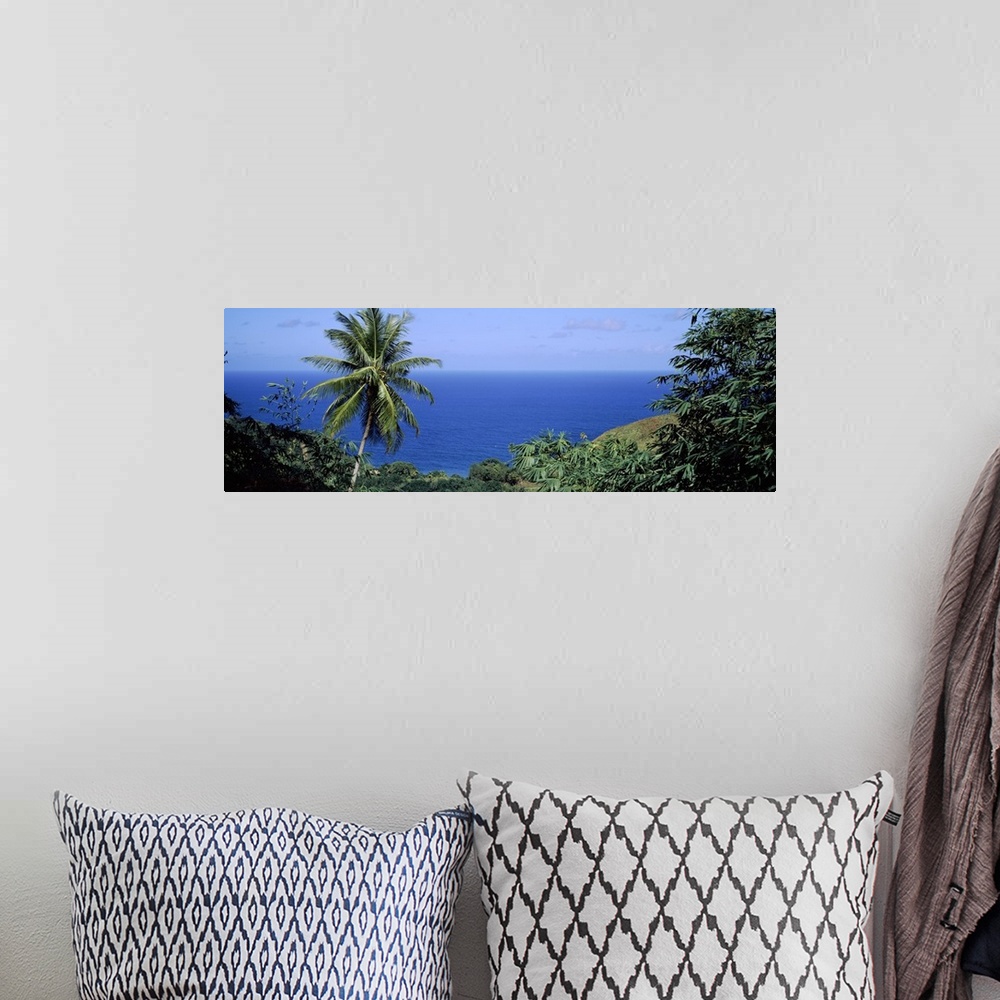 A bohemian room featuring Palm Trees Tobago Caribbean Sea
