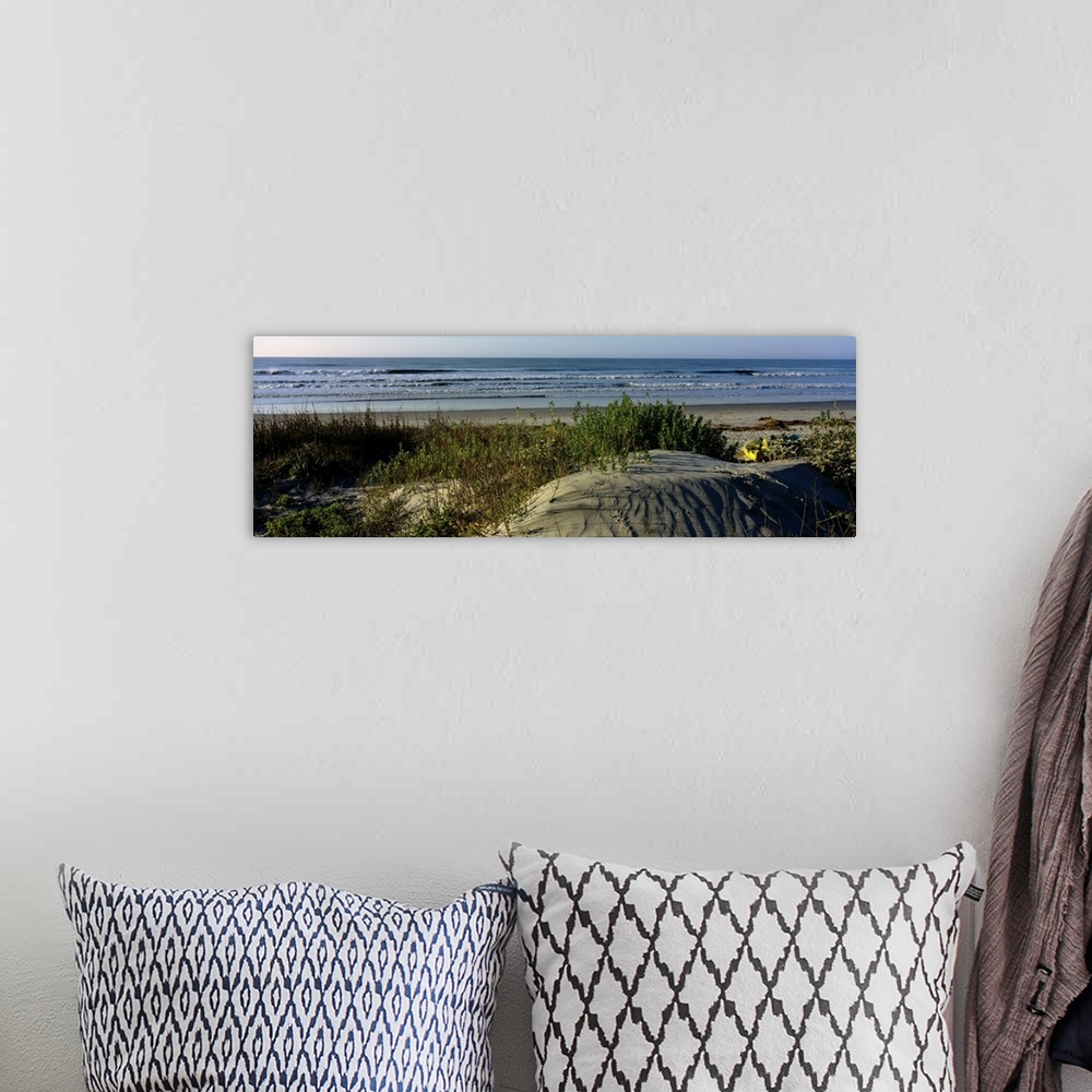 A bohemian room featuring Panoramic photograph taken from behind the dunes on a beach showing small waves in the ocean abou...