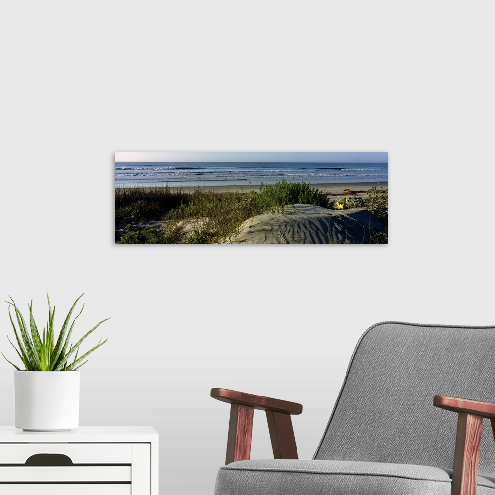 A modern room featuring Panoramic photograph taken from behind the dunes on a beach showing small waves in the ocean abou...