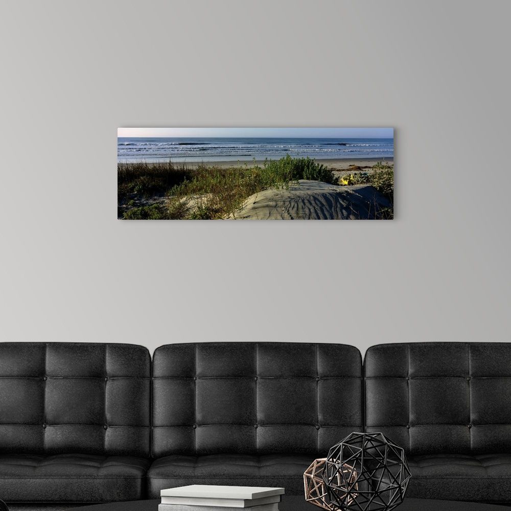 A modern room featuring Panoramic photograph taken from behind the dunes on a beach showing small waves in the ocean abou...