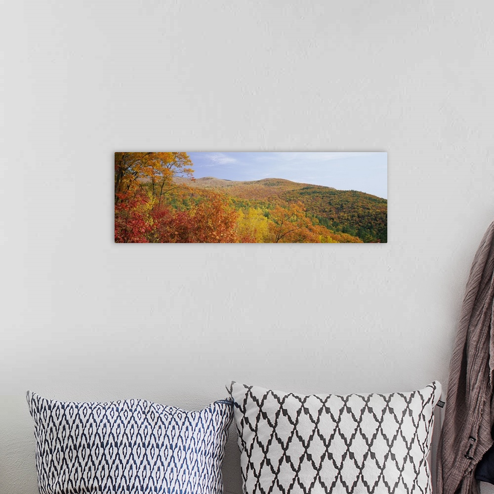 A bohemian room featuring Panoramic view of a landscape, Moultonborough, Carroll County, New Hampshire, New England