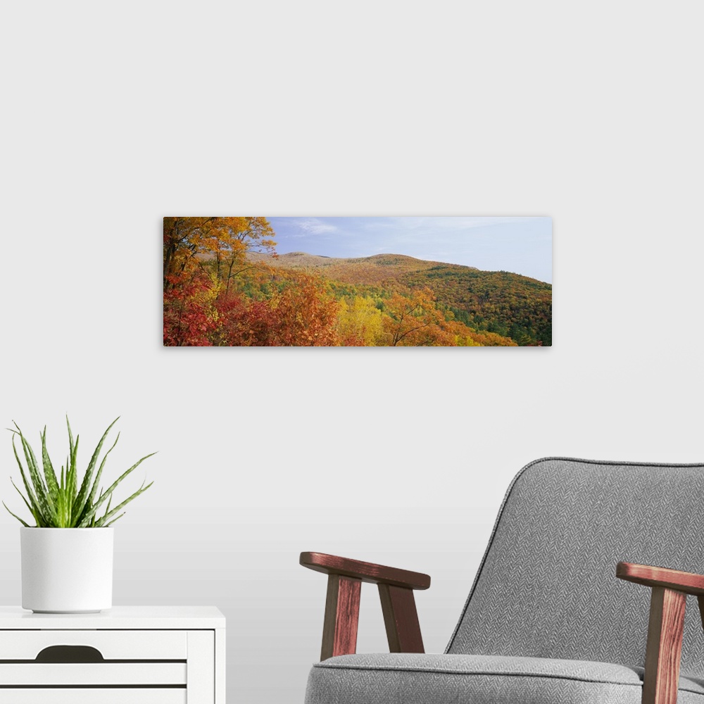 A modern room featuring Panoramic view of a landscape, Moultonborough, Carroll County, New Hampshire, New England
