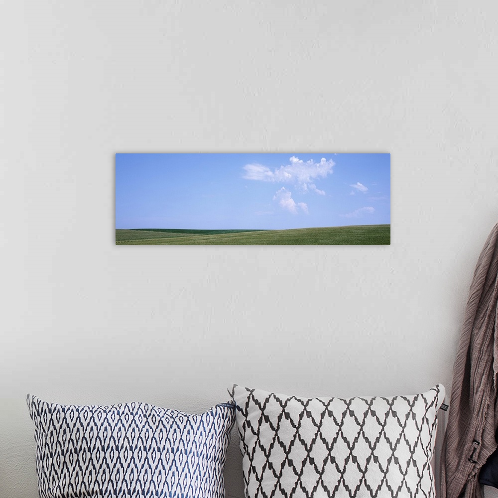A bohemian room featuring Panoramic view of cornfields, Iowa