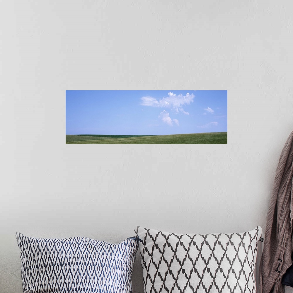 A bohemian room featuring Panoramic view of cornfields, Iowa