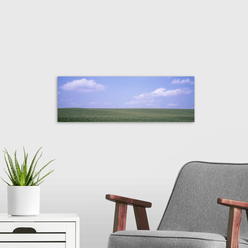 A modern room featuring Panoramic view of cornfields, Iowa