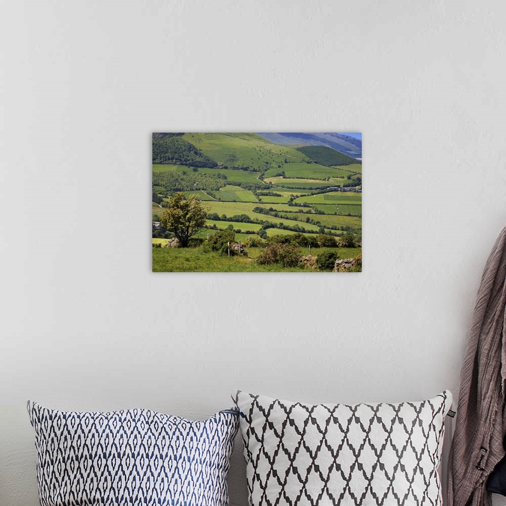 A bohemian room featuring Pastoral Scene Below the Comeragh Mountains, County Waterford, Ireland
