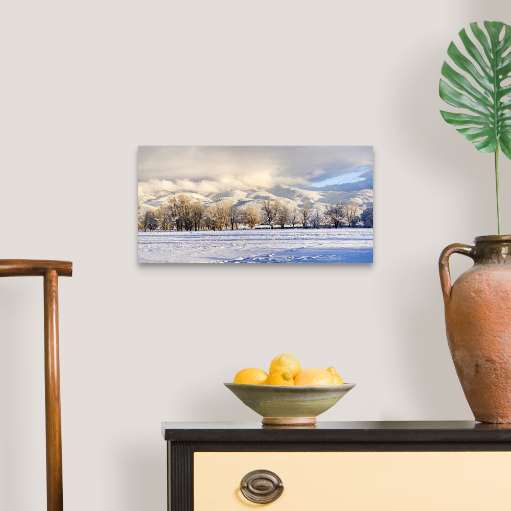 A traditional room featuring Pasture land covered in snow with Taos Mountain in the background, Sangre De Cristo Range, San Lu...