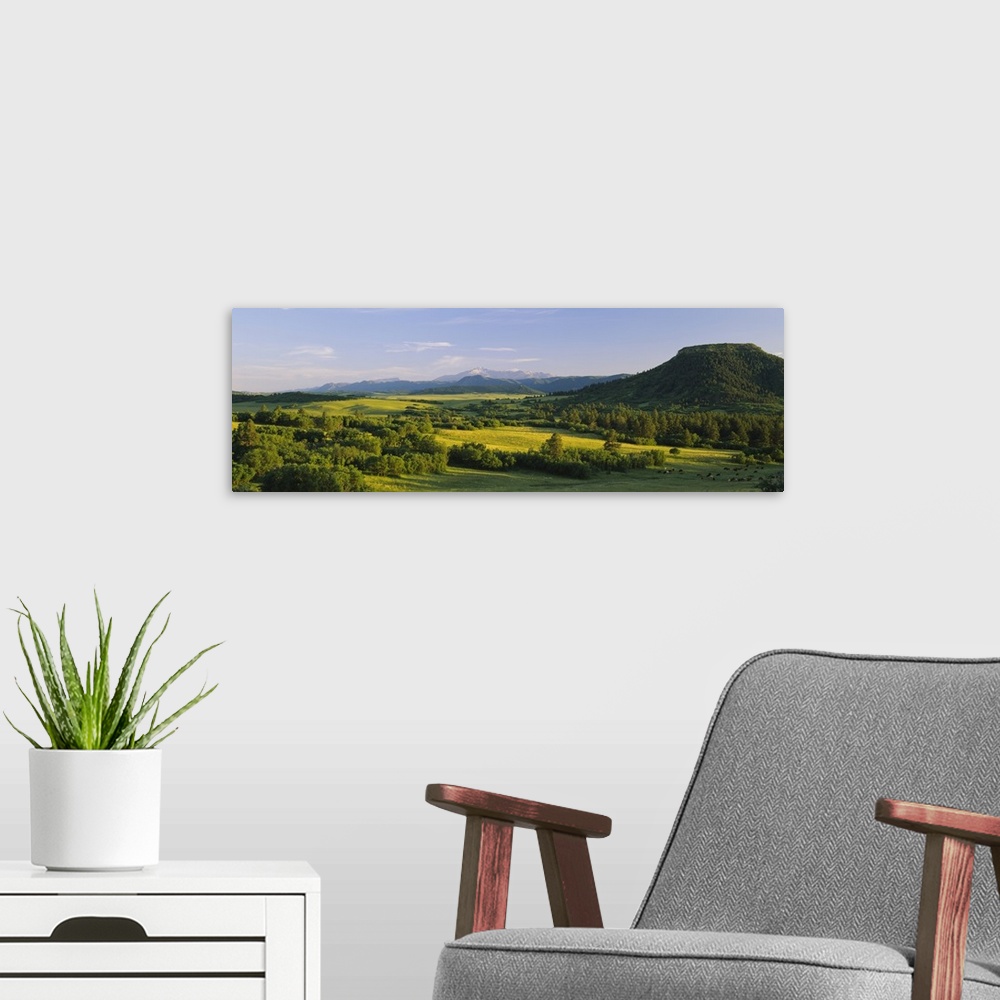 A modern room featuring Pasture on a landscape and a mountain in the background, Pikes Peak, Douglas County, Colorado
