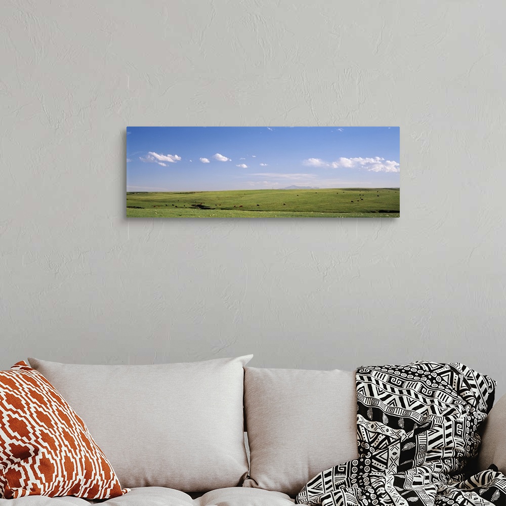 A bohemian room featuring Pasture on a landscape, Pikes Peak, Douglas County, Colorado