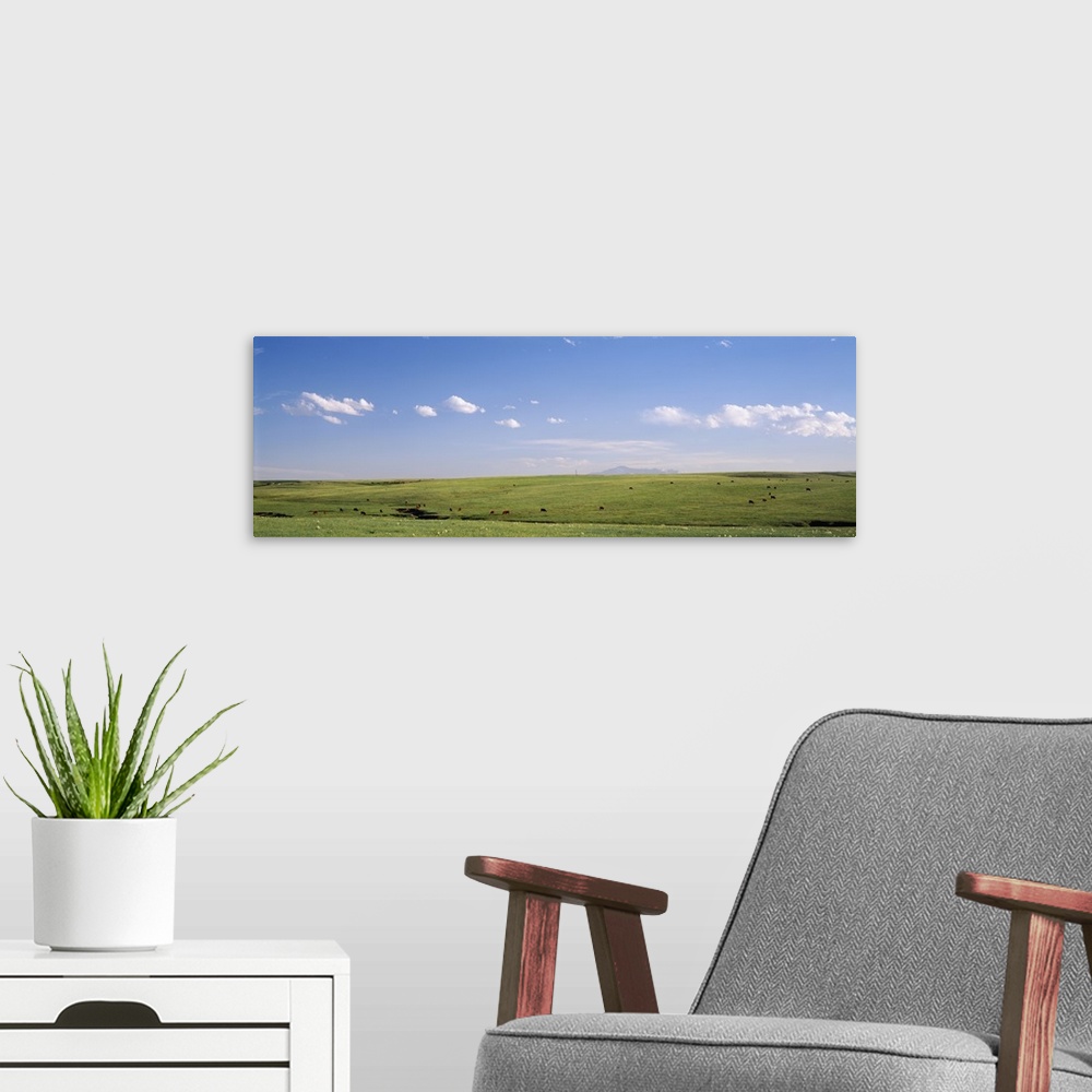 A modern room featuring Pasture on a landscape, Pikes Peak, Douglas County, Colorado