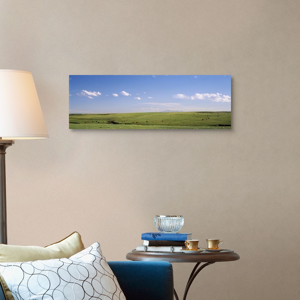 A traditional room featuring Pasture on a landscape, Pikes Peak, Douglas County, Colorado