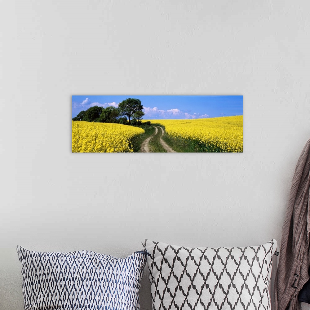 A bohemian room featuring Path and Rape Fields Germany