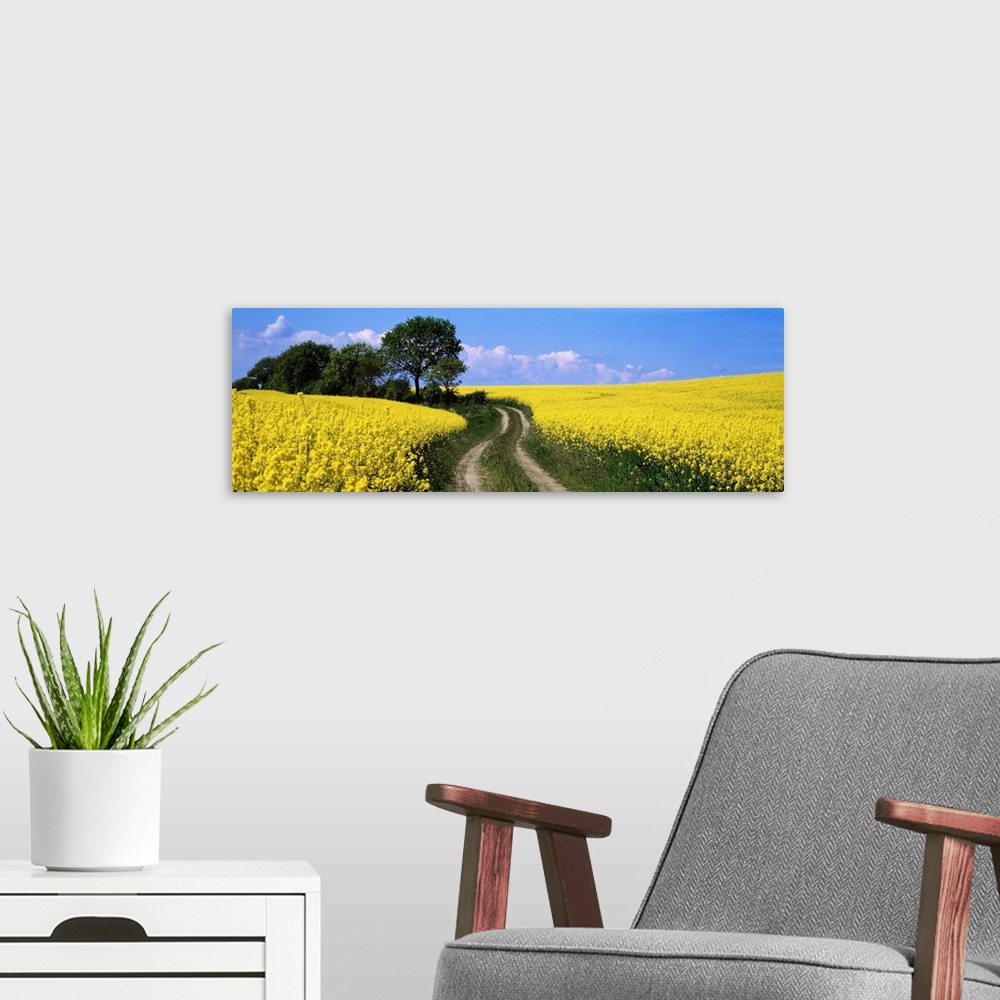A modern room featuring Path and Rape Fields Germany
