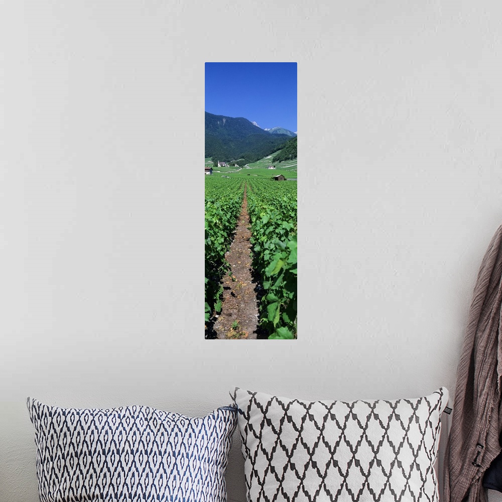 A bohemian room featuring Path in a vineyard, Valais, Switzerland