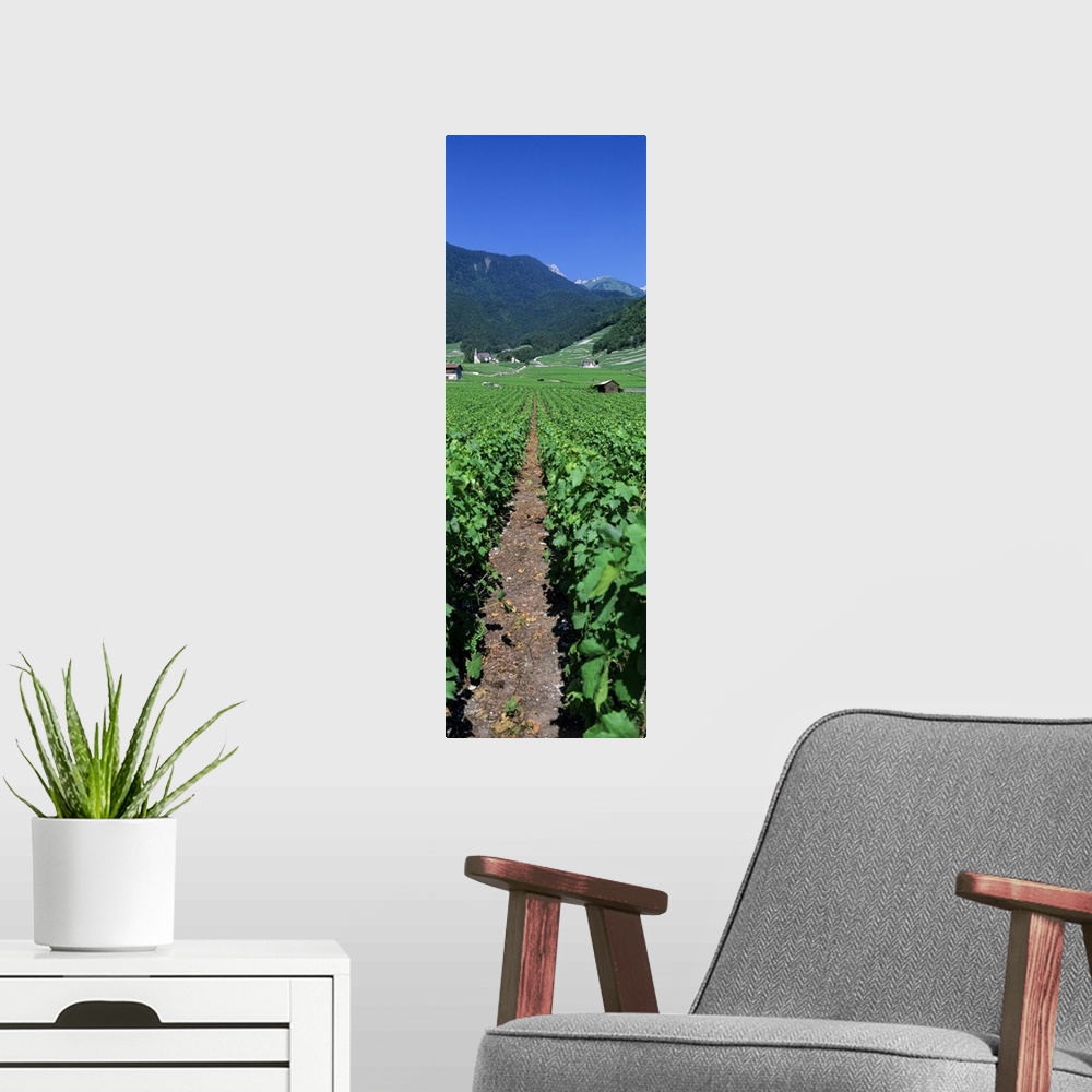 A modern room featuring Path in a vineyard, Valais, Switzerland
