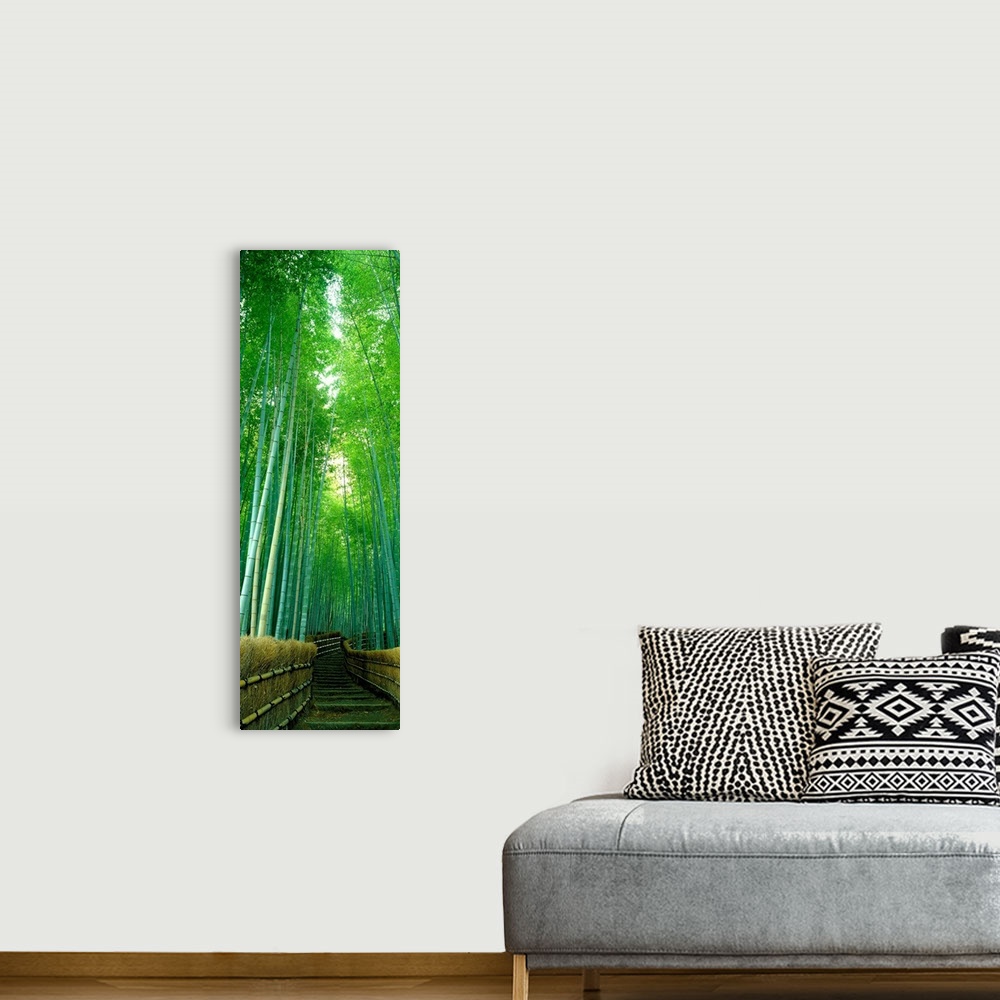 A bohemian room featuring Vertical photograph of steps in a landscaped bamboo garden.