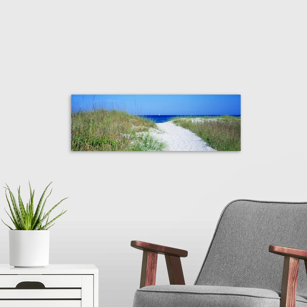 A modern room featuring Panoramic photo print of large sand dunes with sea grass and a sandy path in the middle leading t...