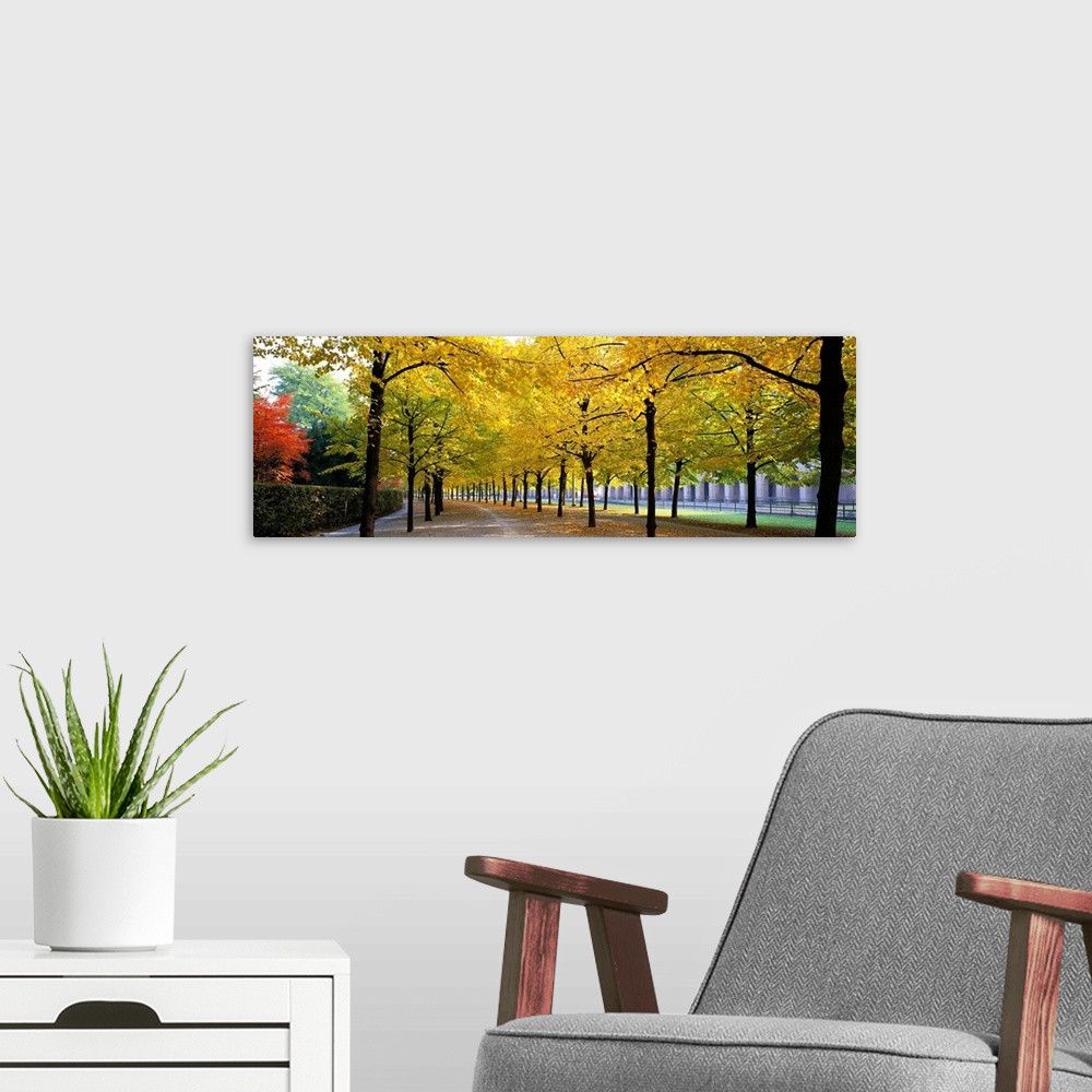 A modern room featuring Pathway with Trees Karlsruhe Germany