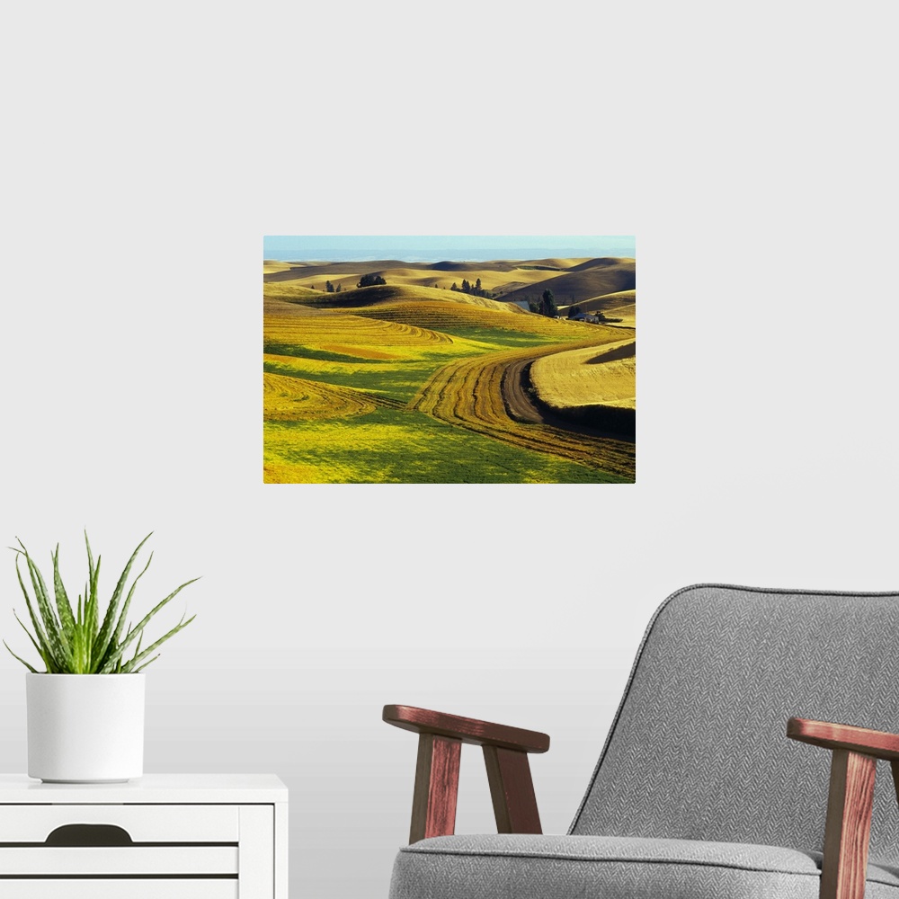 A modern room featuring Patterns in farm fields, rolling hills of Palouse region, Washington