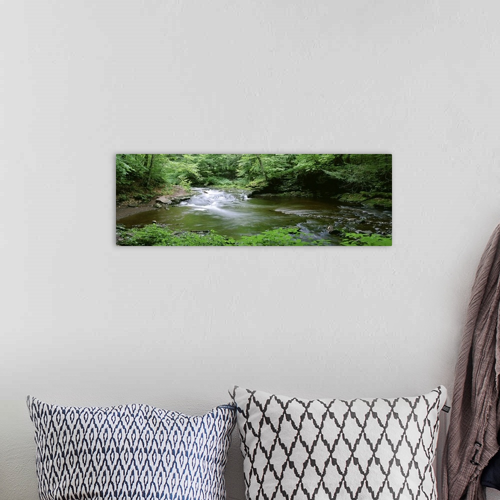 A bohemian room featuring This panoramic shaped photograph shows a woodland stream emptying into a pond.