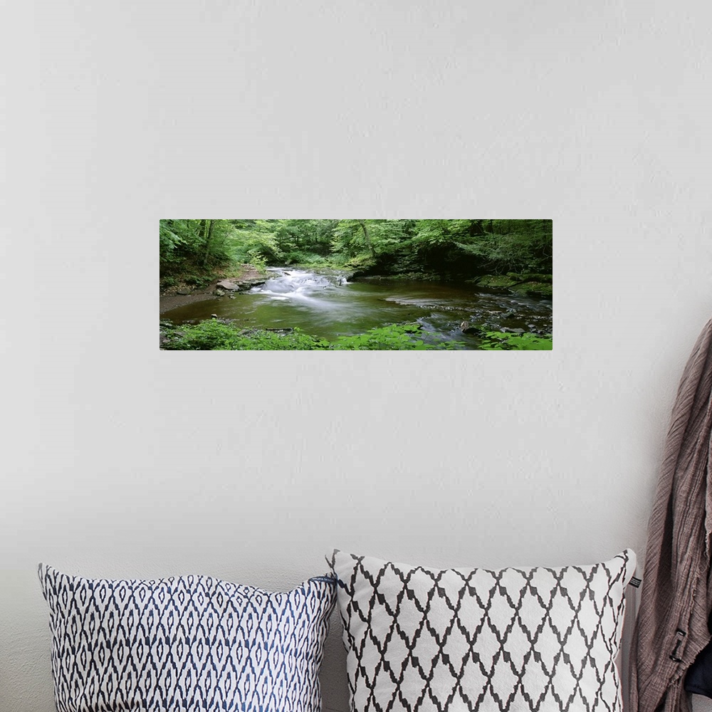 A bohemian room featuring This panoramic shaped photograph shows a woodland stream emptying into a pond.