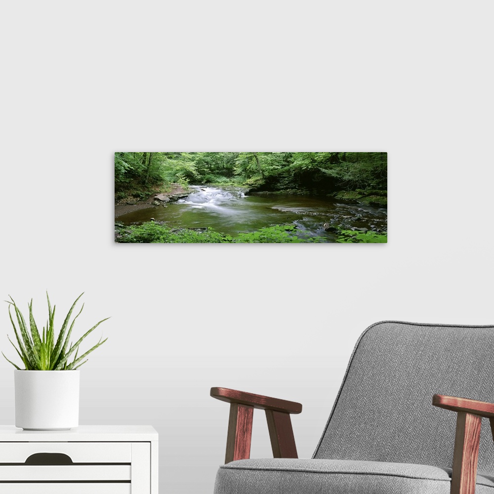A modern room featuring This panoramic shaped photograph shows a woodland stream emptying into a pond.