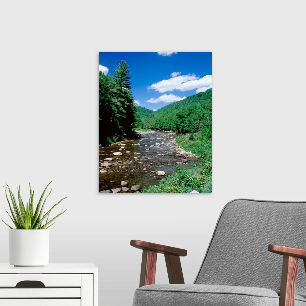 A modern room featuring Pennsylvania, World's End State Park, Rocks in Loyalsock Creek