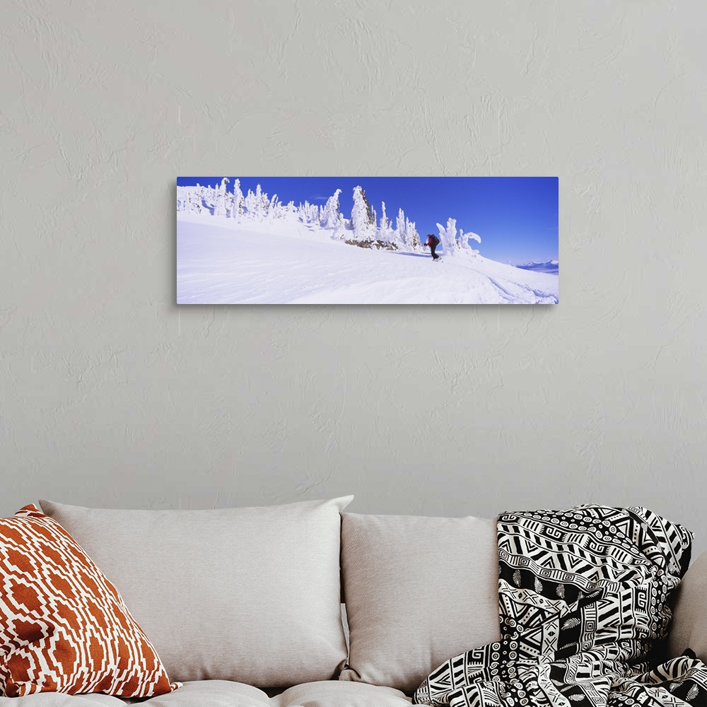 A bohemian room featuring Person skiing on a snow covered landscape, Monashee Mountains, British Columbia, Canada