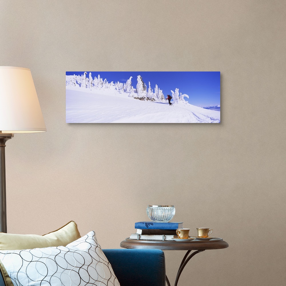 A traditional room featuring Person skiing on a snow covered landscape, Monashee Mountains, British Columbia, Canada