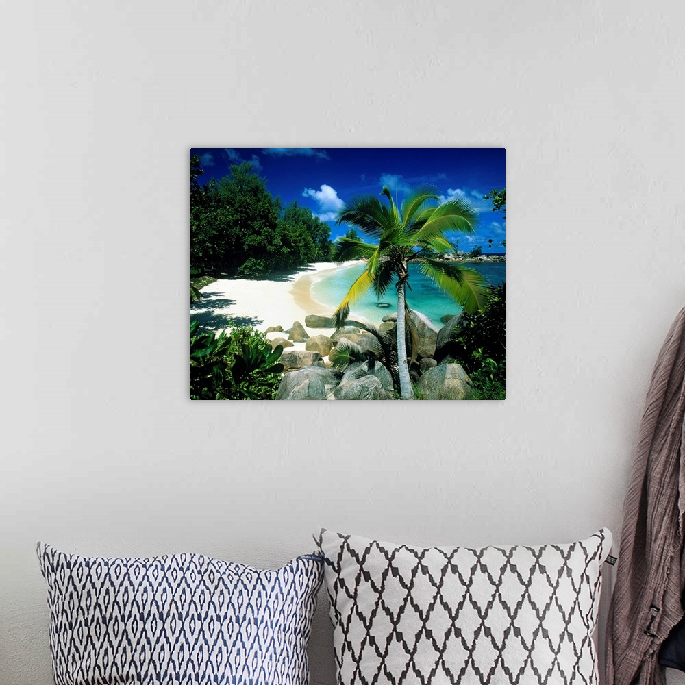 A bohemian room featuring Big canvas art of a beautiful white sand beach with a palm tree, foliage and crystal blue water.