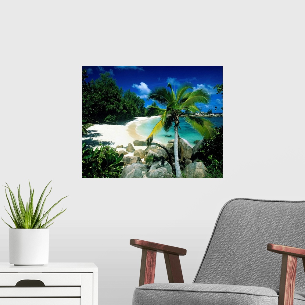 A modern room featuring Big canvas art of a beautiful white sand beach with a palm tree, foliage and crystal blue water.