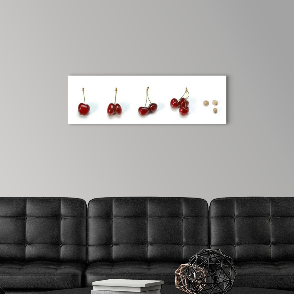 A modern room featuring Photo collection of cherries