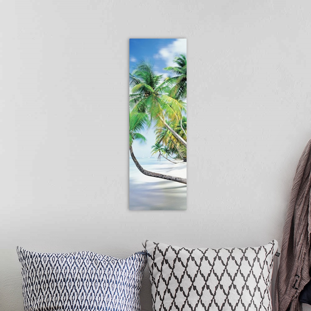 A bohemian room featuring Vertical photograph on an oversized canvas of palm trees growing at an angle toward the coast lin...