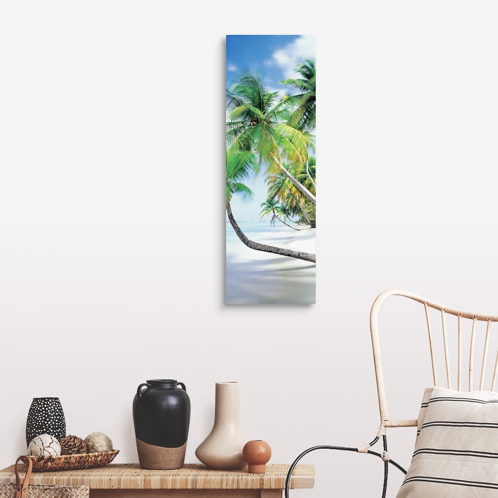 A farmhouse room featuring Vertical photograph on an oversized canvas of palm trees growing at an angle toward the coast lin...