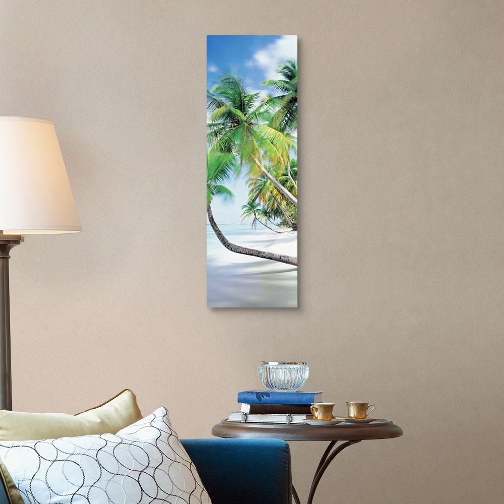 A traditional room featuring Vertical photograph on an oversized canvas of palm trees growing at an angle toward the coast lin...