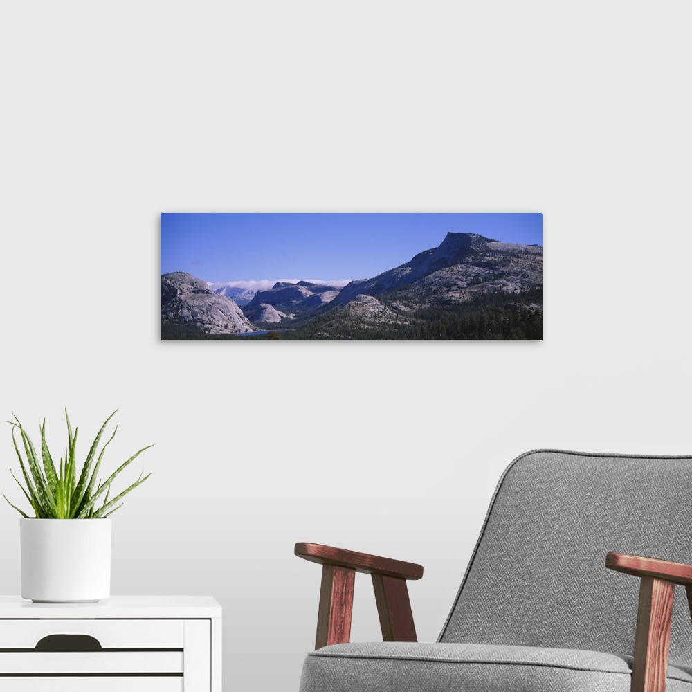 A modern room featuring Pine trees on a landscape, Yosemite National Park, California