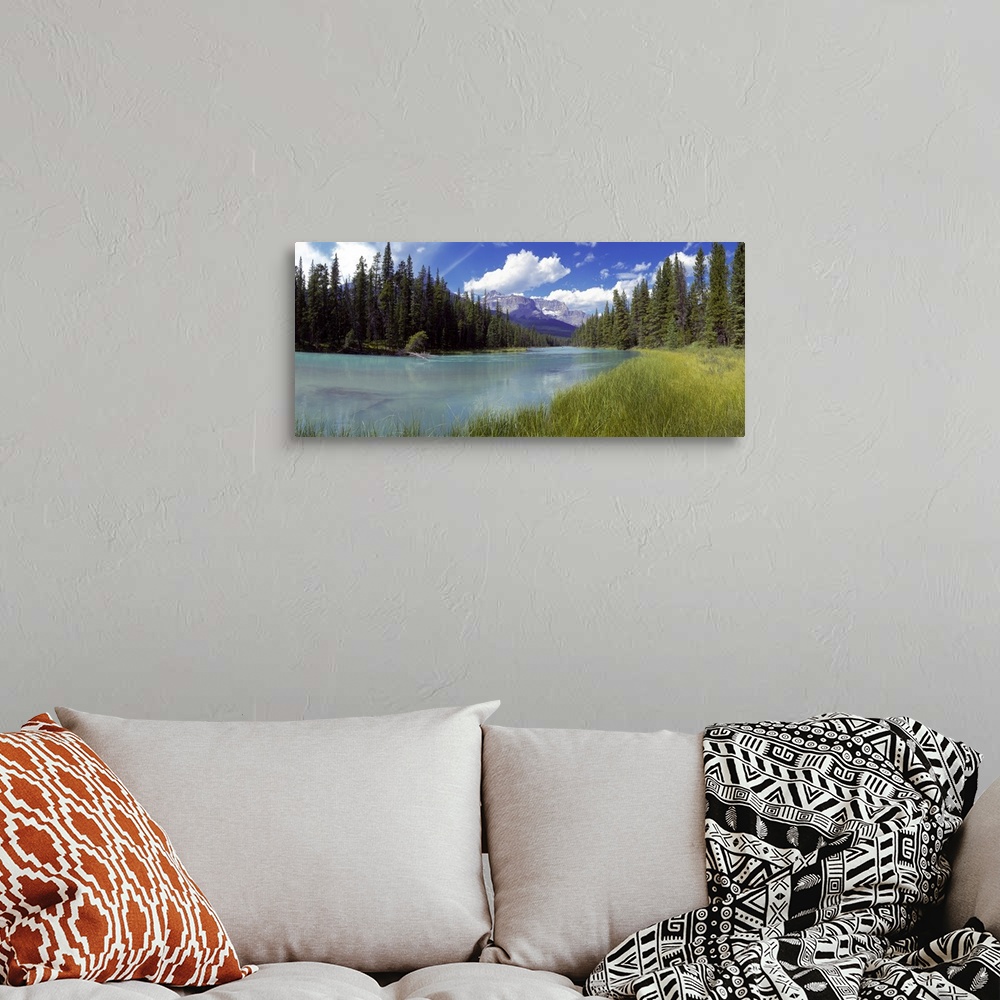 A bohemian room featuring Pine trees on Athabasca Riverbank with mountains in the background, Canadian Rockies, Jasper Nati...
