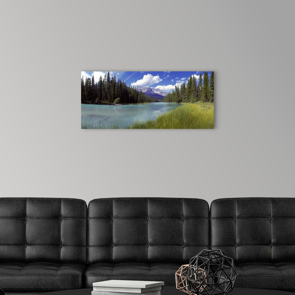 A modern room featuring Pine trees on Athabasca Riverbank with mountains in the background, Canadian Rockies, Jasper Nati...